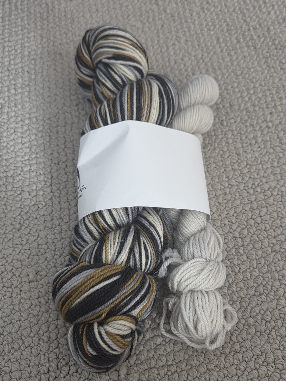 Merino Nylon Sock Yarn - Lightning & Shadows with Silver Mini